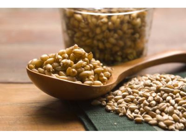 Spoon of wheat germ