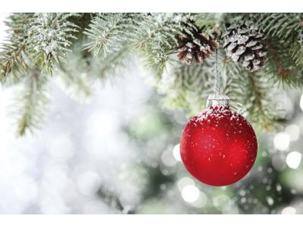 Ornament on Christmas tree.