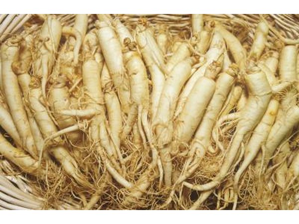 Ginseng