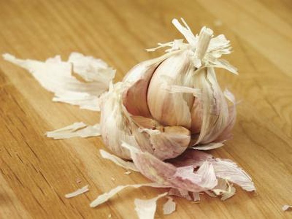 Garlic has strong anti-bacterial properties and is a natural antibiotic for infections.