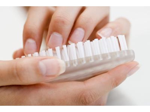 woman holding animal brush