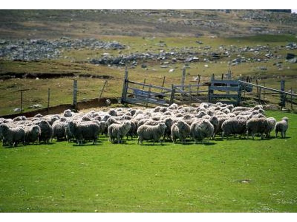 Port stanley, Falkland Islands