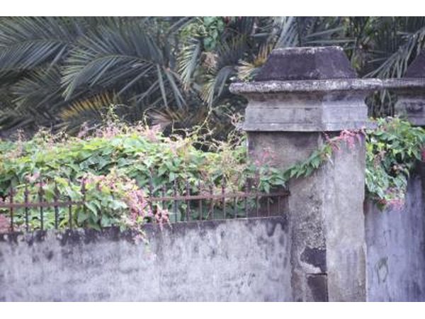 A structure will change the vertical aspect of the garden.