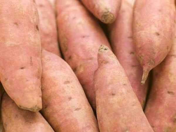 For carbs you should eat healthy whole grains and sweet potatoes.