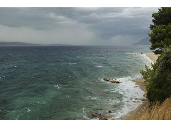 Ocean currents affect the water temperature.