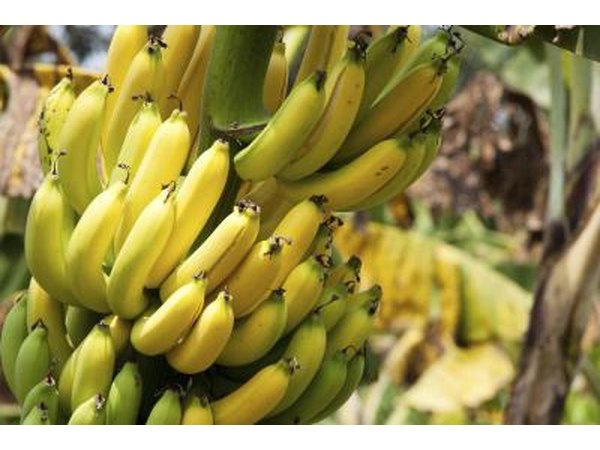 Include potassium-rich foods in your diet, such as bananas.