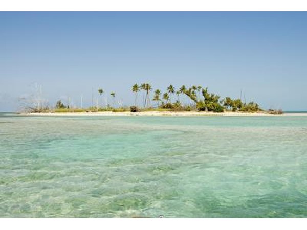 Small coconut tree island in the Bahamas