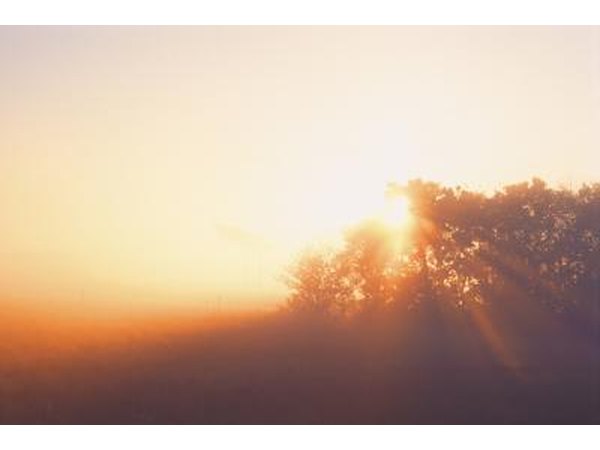 The body synthesizes vitamin D from sunshine.