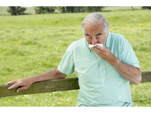 Both agents are related to morphine and may be prescribed for pain relief or to treat moderate cough.