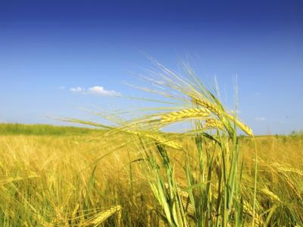 Avoid eating high carbohydrate foods before bedtime.