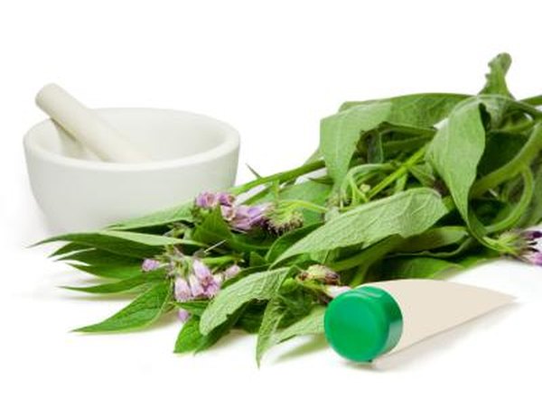 Herbs.