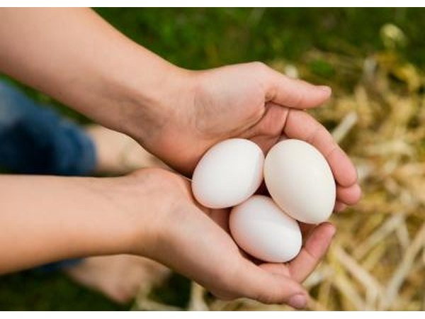 You will need to turn the eggs four times a day.