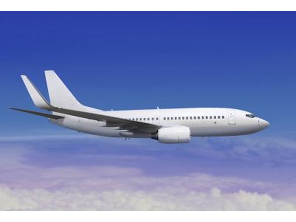 British Airways doesn't allow animals of any size into its cabin.