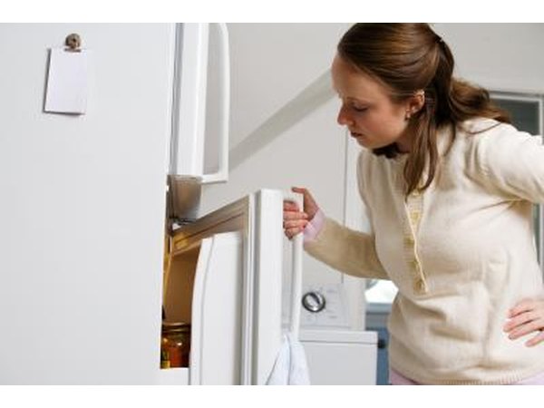 refrigerator timer