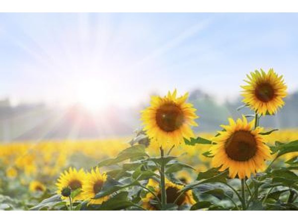 Solar thermal power can only be used when the sun is shining.