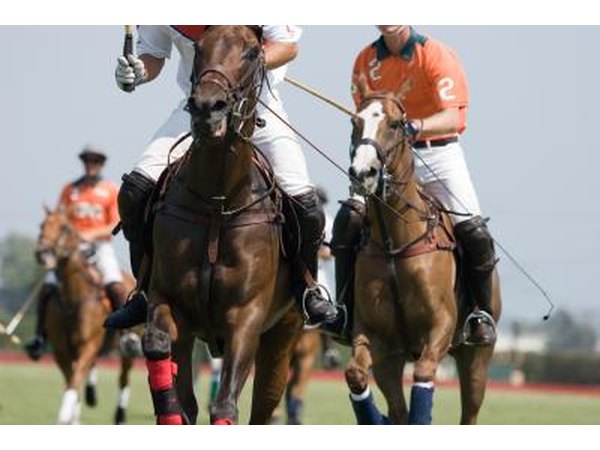 Polo match