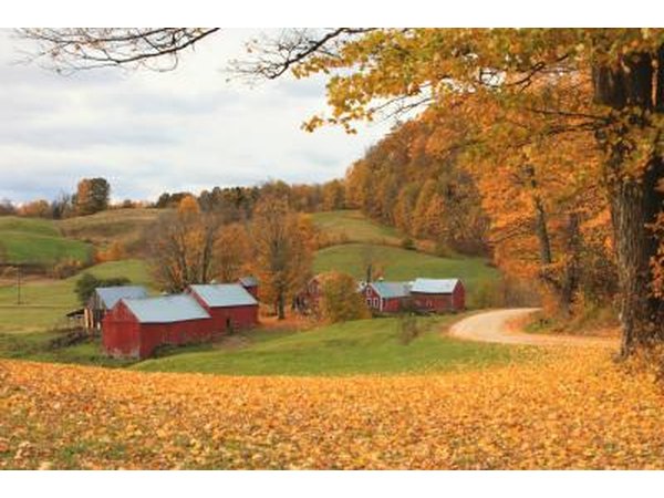 An autum landscape of a farm in Vermont.