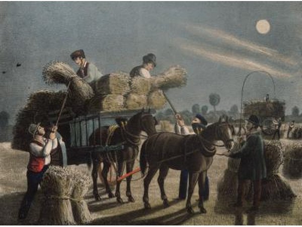 Working with horses & a cart.