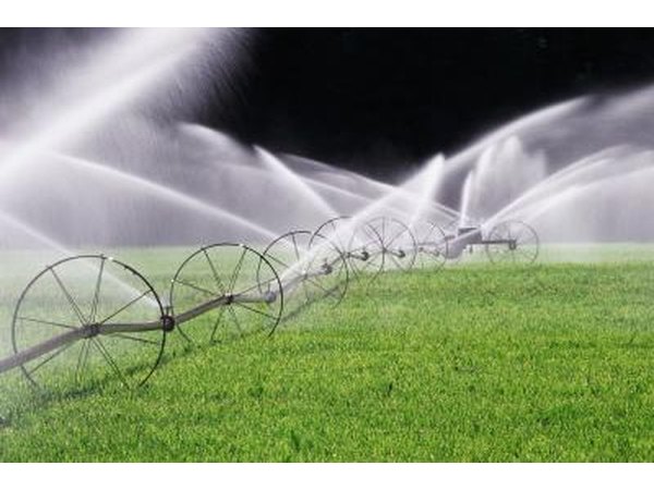 Use a rain gauge to determine how much irrigation your lawn is getting.