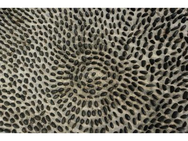 Arrange the pebbles in a geometric pattern.