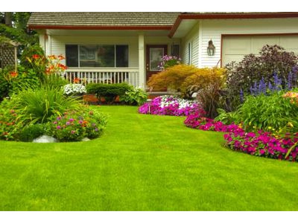 If you have a large yard, you may want an edger that has a little added horsepower.