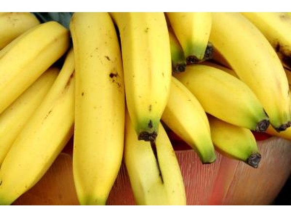 Bananas are a good source of calcium.