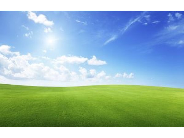 source for chemosynthesis What is the source of energy for chemosynthesis by john brennan updated april 25, 2017 plants capture energy from the sun through a process called photosynthesis this process supports nearly all life on earth but photosynthesis is not the only method that living organisms use to create energy some microorganisms derive energy from. source for chemosynthesis What is the source of energy for chemosynthesis by john brennan updated april 25, 2017 plants capture energy from the sun through a process called photosynthesis this process supports nearly all life on earth but photosynthesis is not the only method that living organisms use to create energy some microorganisms derive energy from.