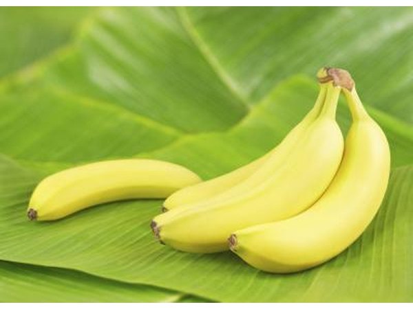 bananas are a good source of fiber