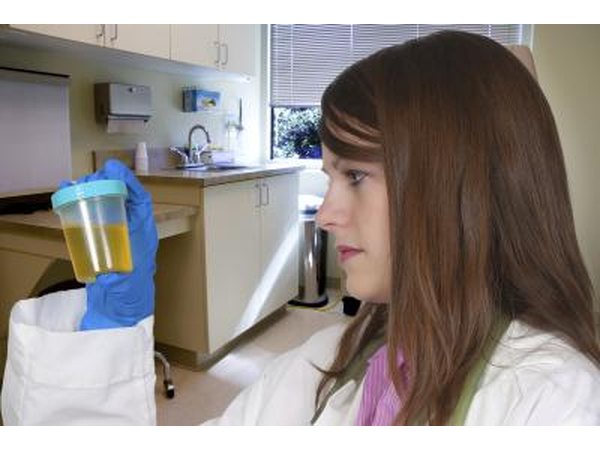 A UTI is easily identified.
