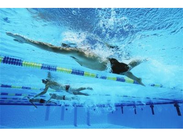 Swimmers doing laps