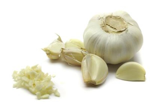 Garlic in 3 forms.