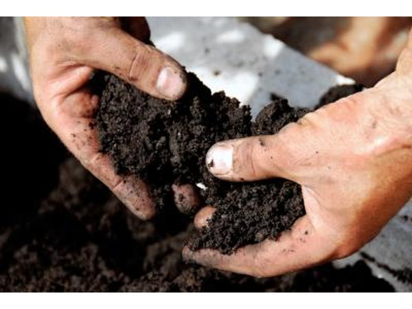 man touching organic compost