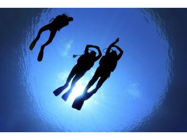 Scuba instructor
