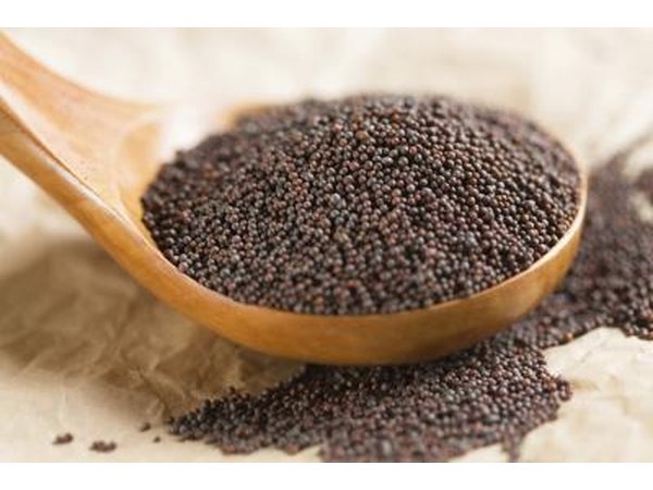 spoonful of brown mustard seeds