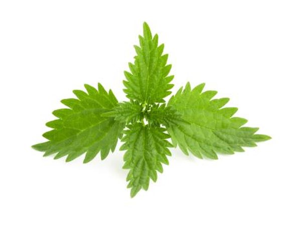 Nettles.