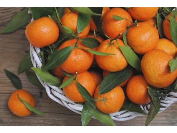 Clementines are nicknamed 'Christmas Oranges'.