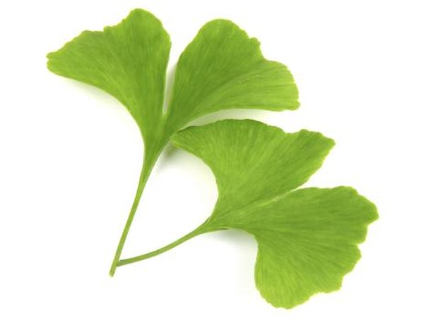 Ginko Biloba can assist as an herbal remedy.