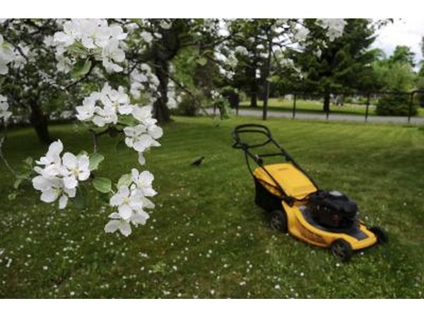 Lawn mower in a vast yard with blooming trees
