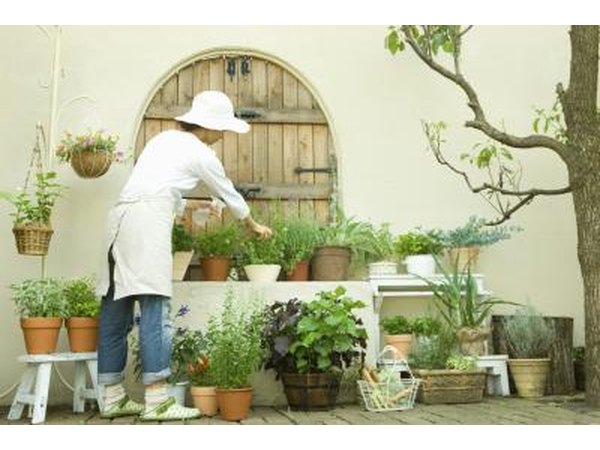 Potted plants can liven up an outside space.
