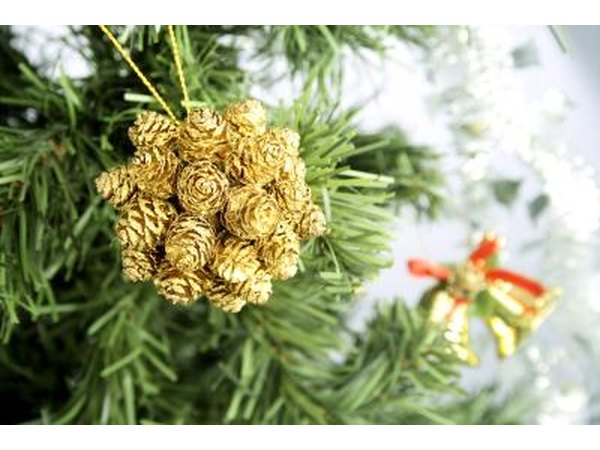Pine branches