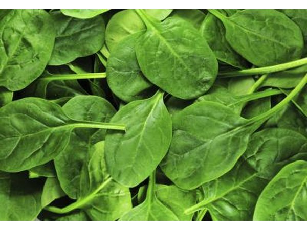 Close-up of fresh spinach leaves.