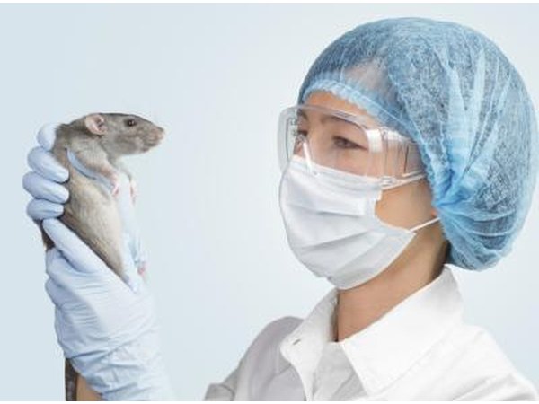 Lab worker