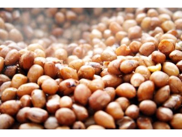 Sunflower seeds are not considered a tree nut and are used in the place of peanuts or other tree nuts in recipes.