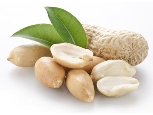 Peanuts are an allergen food.