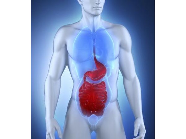 Gastroparesis occurs when the stomach contents do not empty in a timely manner