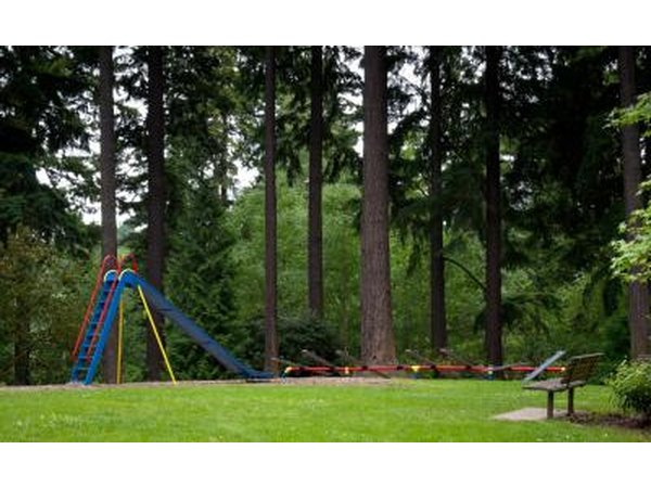 Grass around playground