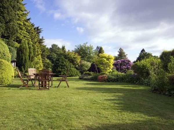 Put the mixture around the perimeter of your yard.