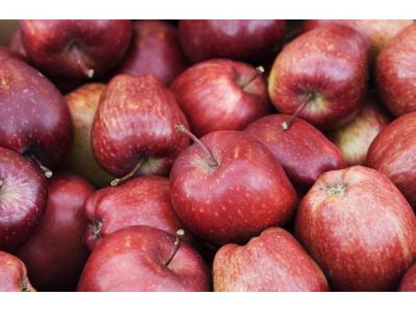 Red Delicious apples are one of the most largely grown varieties in the United States.