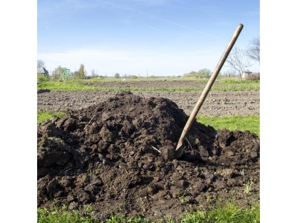 Compost pile