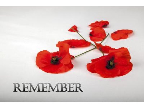 buy remembrance poppy red poppy memorial day buy remembrance poppy red poppy memorial day